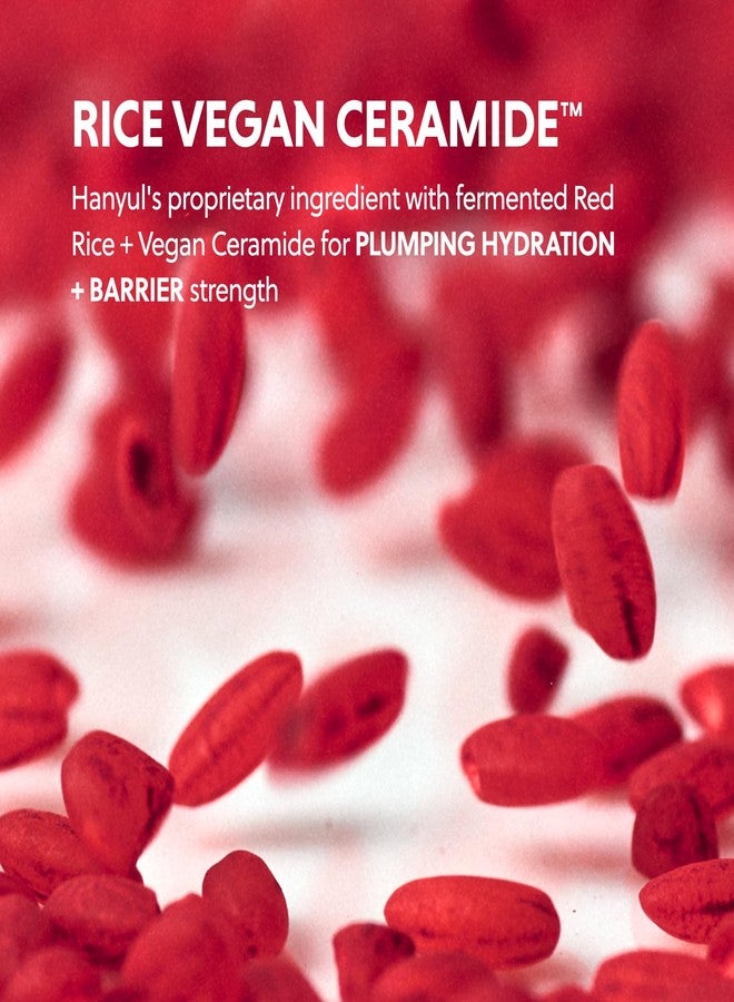 Hanyul Red Rice Hydrating Cream with Fermented Rice Extract, Collagen | Korean Vegan Ceramide Moisturizer for Deep Hydration, Radiant Skin Glow, Firming & Barrier Support, 1.86 fl. oz. - Image 4